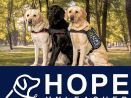 Hope Unleashed photo and logo